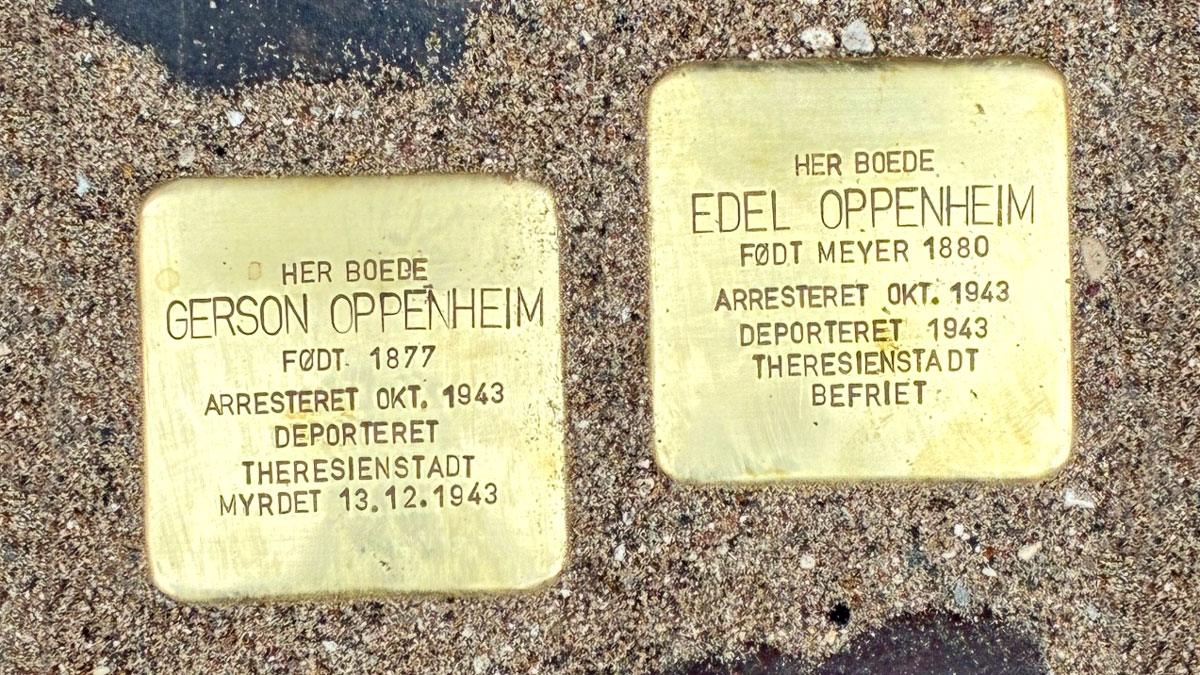 at snuble med hjertet foredrag om nazismens ofre paa borup bibliotek kultur koege