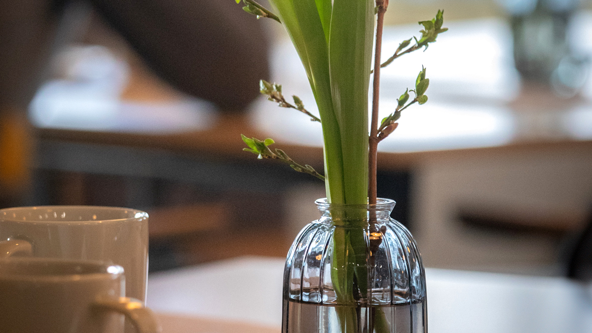 bankospil med gode praemier i ravnsborghallen kultur koege