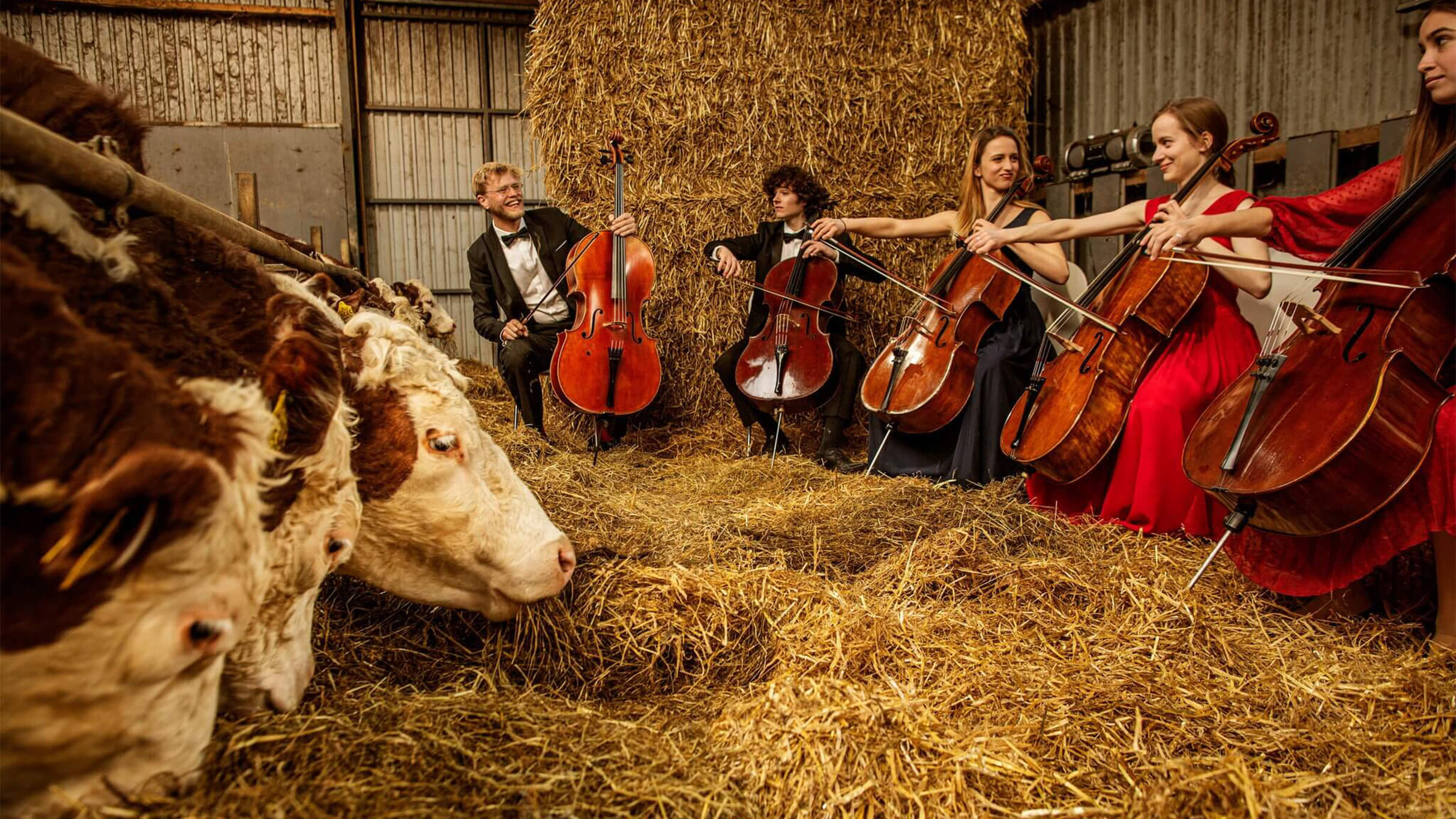 celloskolen photo Carsten Snejberg