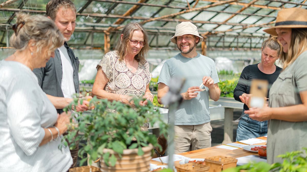 chilismagning i september paa gartneri toftegaard kultur koege(1)