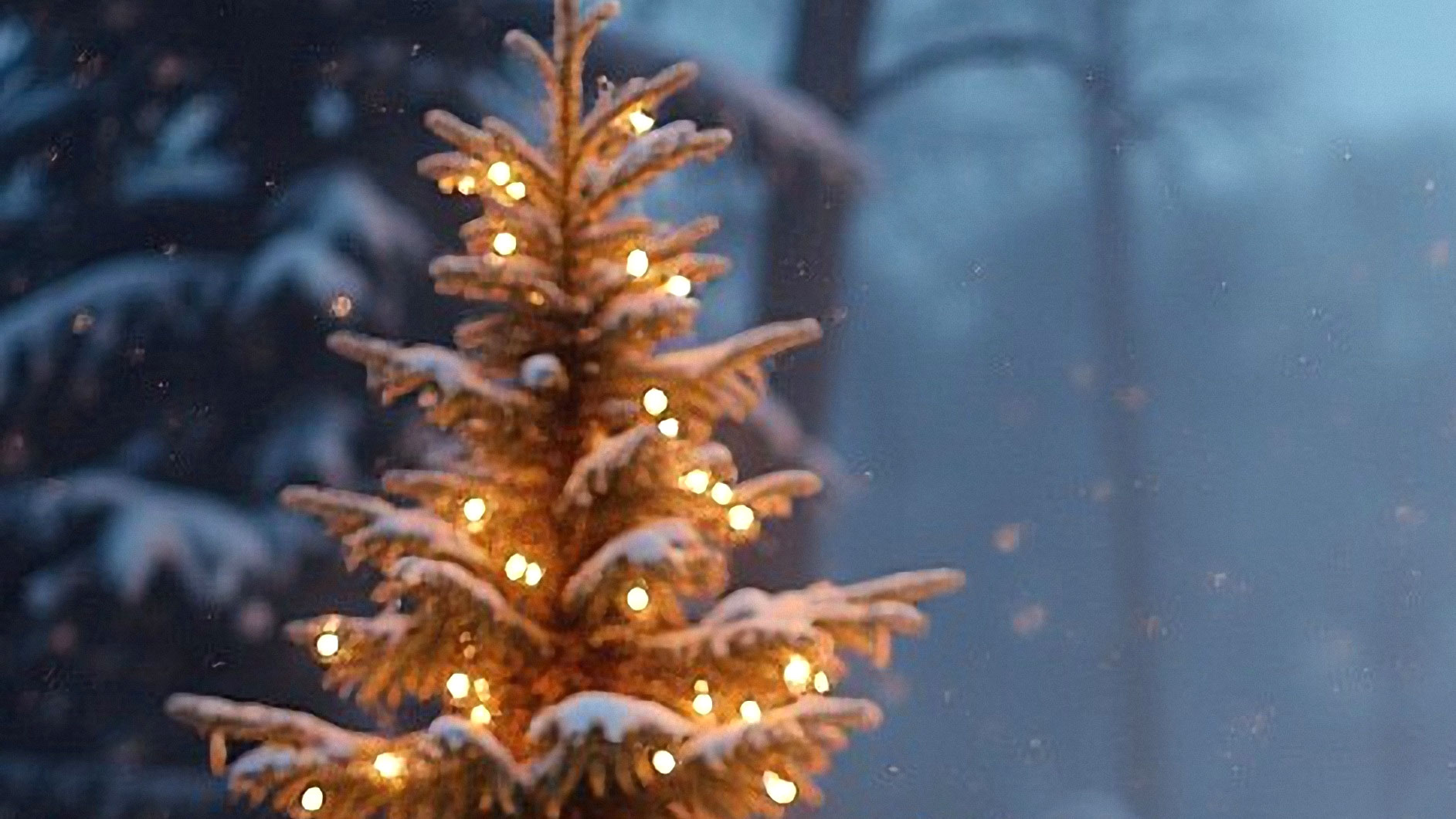 gudstjeneste og juletraestaending i lellinge kultur koege