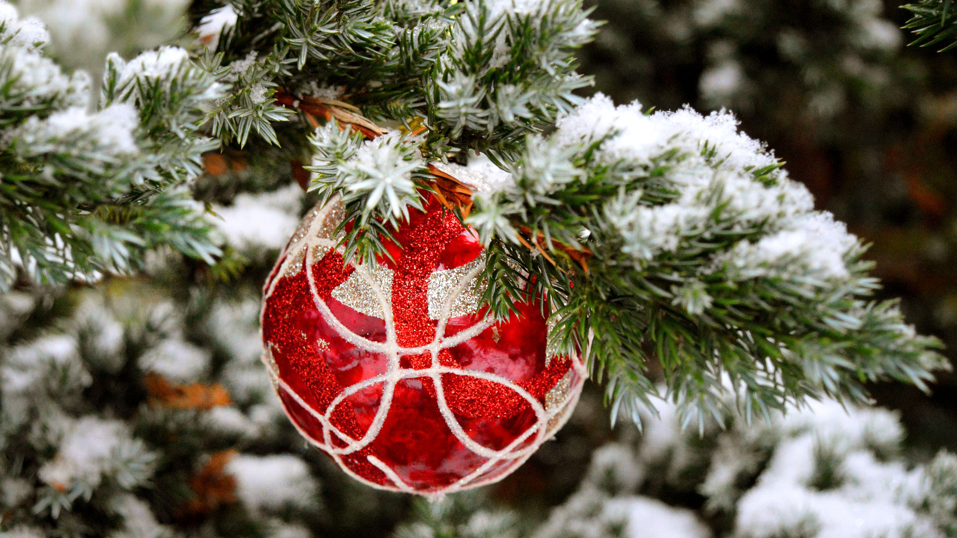 julevandring i herfoelge med opgaver for hele familien kultur koege