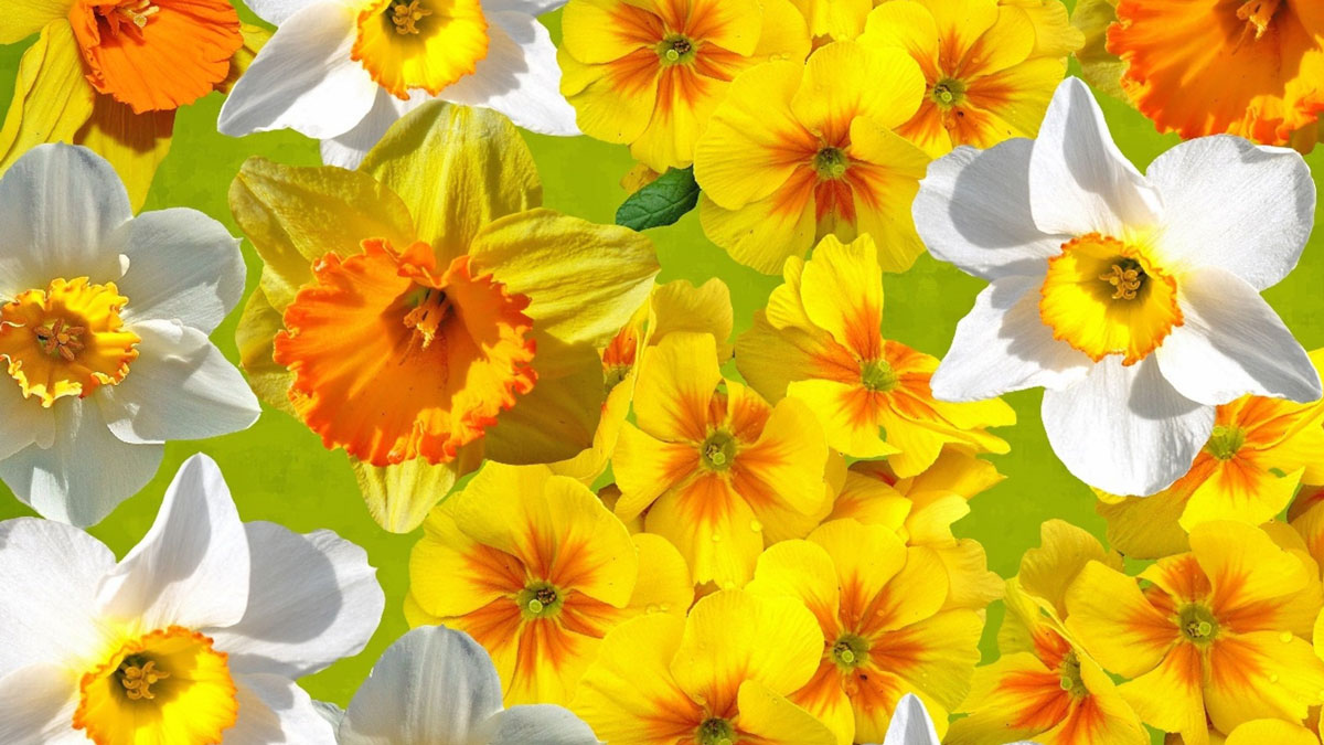 koege handel holder late night paaske med paaskejagt og mini koncerter kultur koege