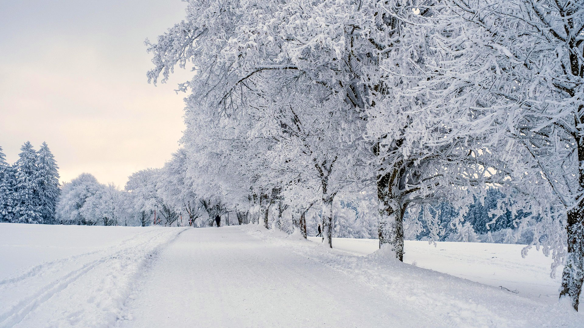 kom med til noeddebo praestegaard paa koege amatoerscene kultur koege