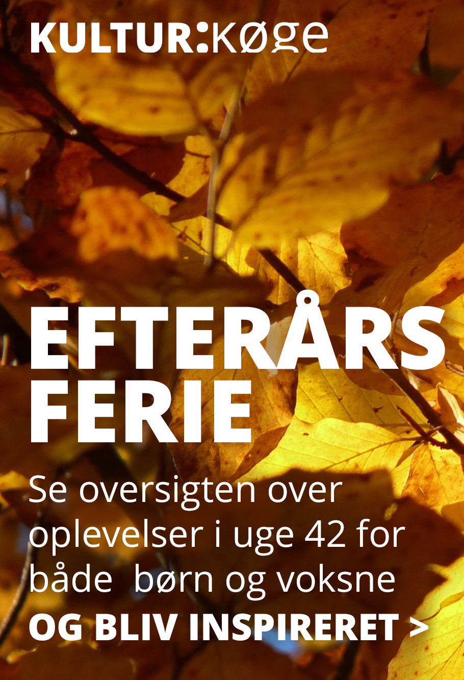Se oversigten over efterårsferie-oplevelser i Køge