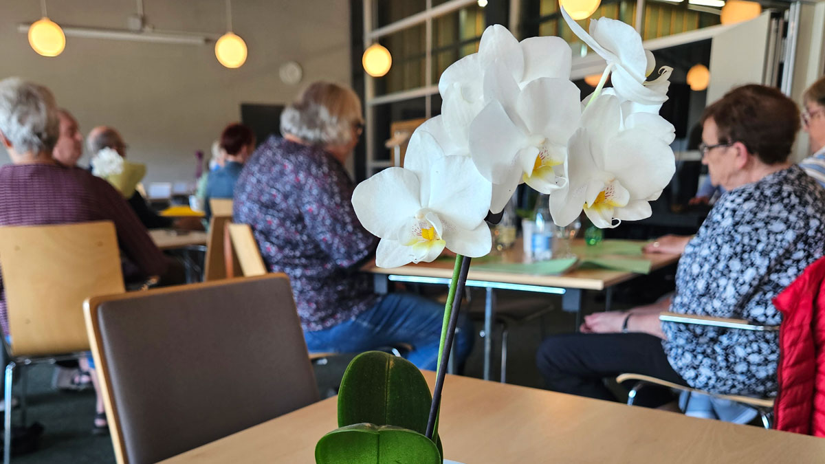 sommertoner faellessang ravnsborg cafeen