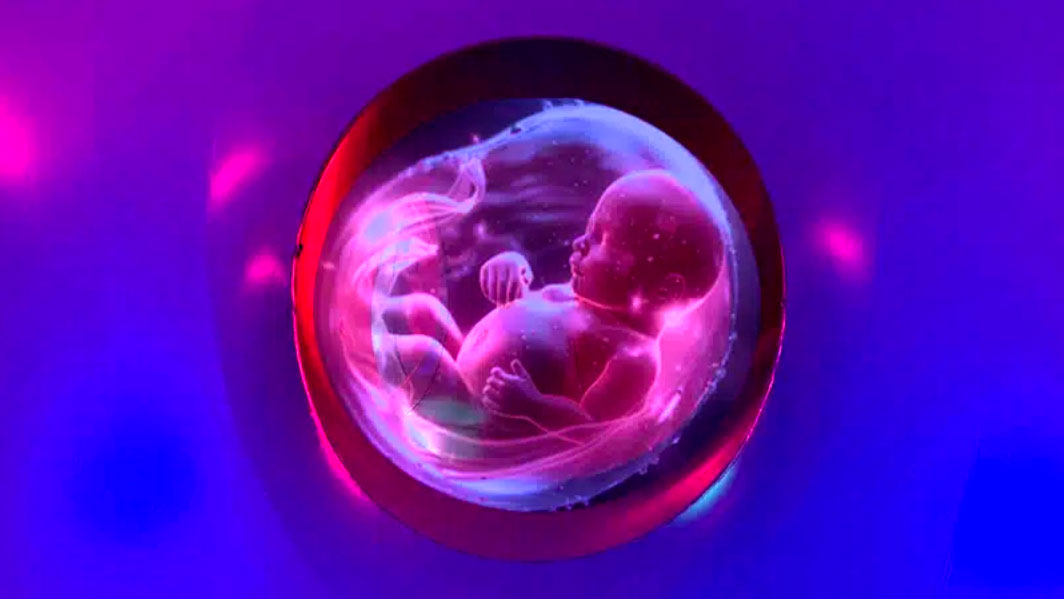 stella utero en sanselig danseforestilling inde i myriad kultur koege