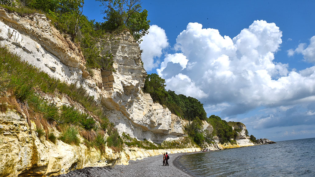 tag familien med paa en rejse tilbage til dinosaurernes tid klintetours stevns klint