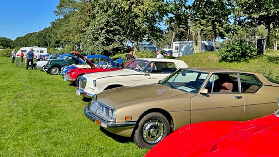 veteranbiler hyggelig stemning koege valloe camping